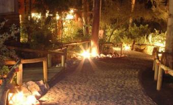 hotel-las_colinas-de-cuncumen-_camino-1