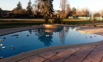 Pepiukelen-piscina-1