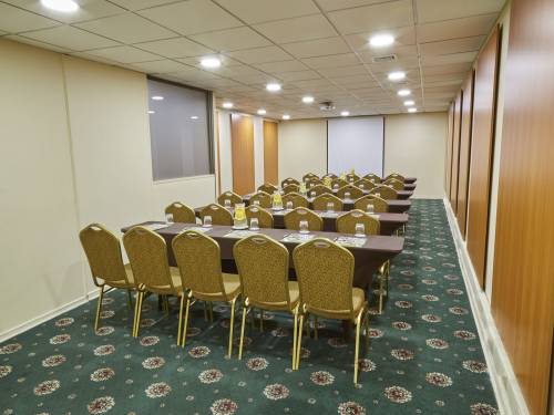 Hotel-Torremayor-Lyon-Salón-Genova_02