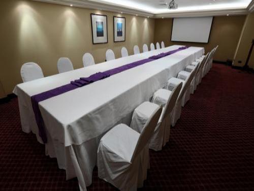  hotel-plaza-san-francisco-salon-neruda-2