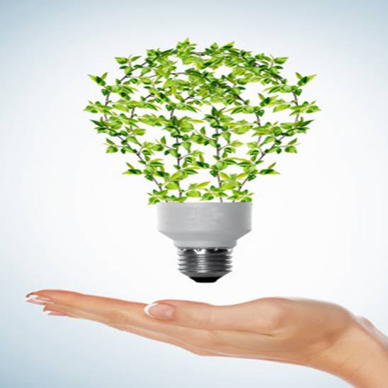 ¿Qué ganas organizando un evento sostenible?