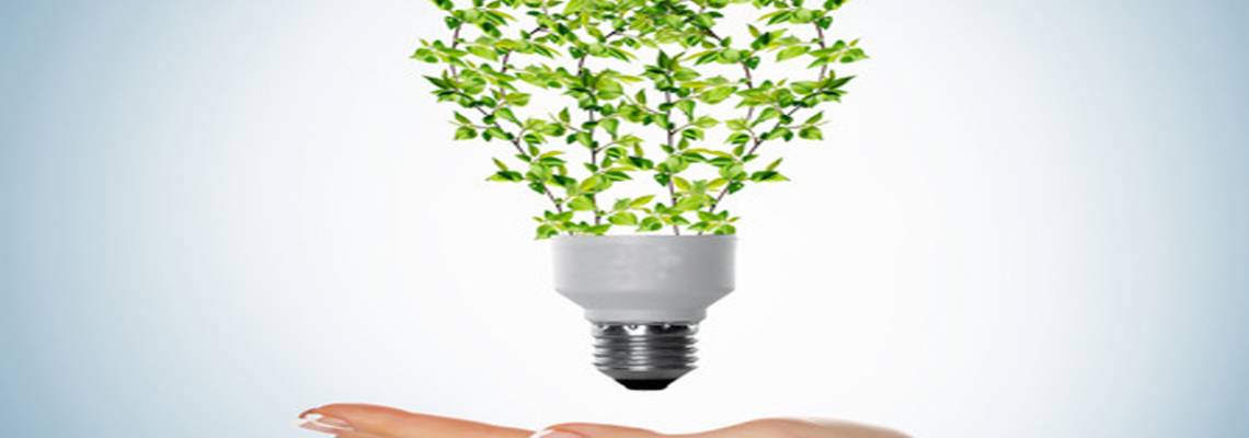 ¿Qué ganas organizando un evento sostenible?